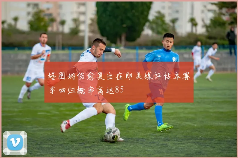 塔图姆伤愈复出在即美媒评估本赛季回归概率高达85